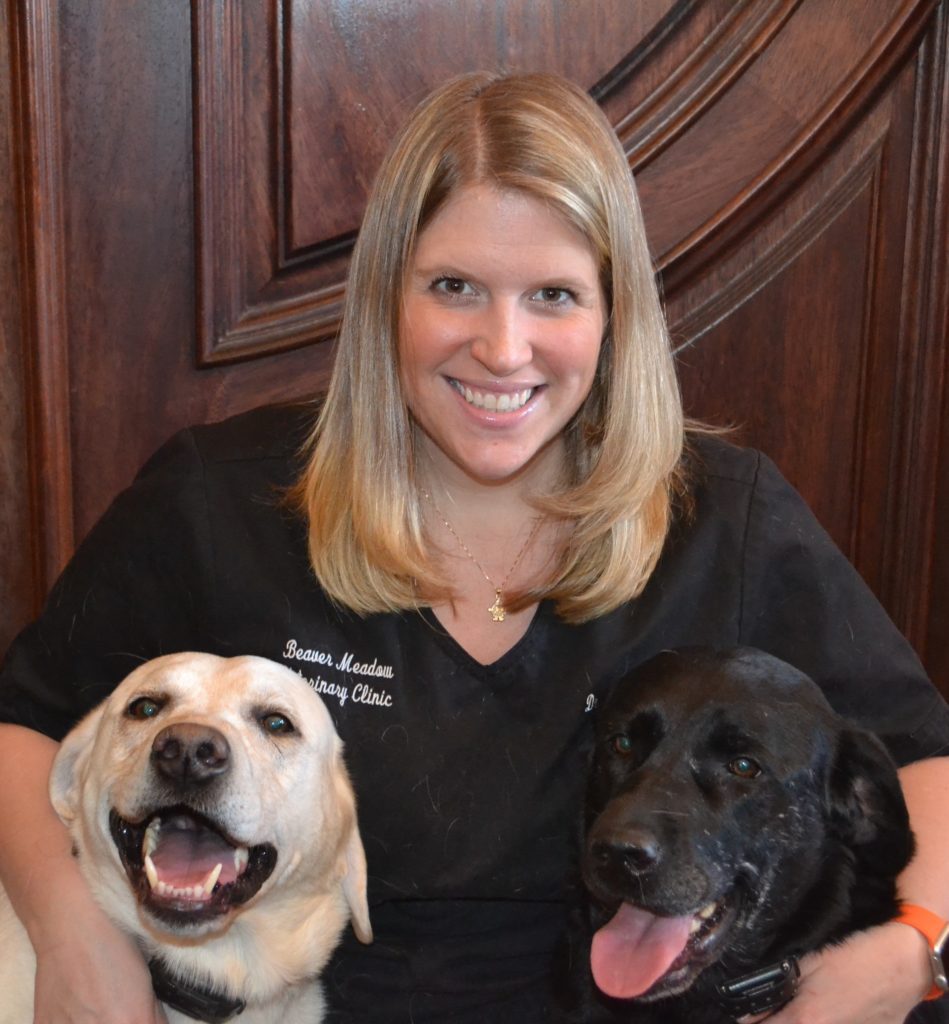 Dr. Diana of Beaver Meadow Veterinary Clinic in Barneveld, NY.
