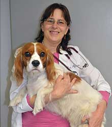 Dr. Hilton of Beaver Meadow Veterinary Clinic in Barneveld, NY.